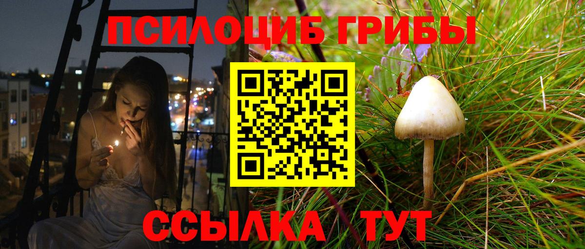 Псилоцибиновые грибы MAGIC MUSHROOMS Сергиев Посад