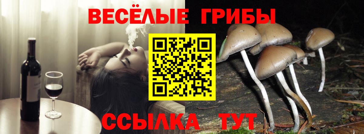 Псилоцибиновые грибы мухоморы  Вход с VPN  Сергиев Посад 